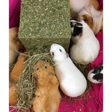 Load image into Gallery viewer, I Love Hay Cube - LARGE