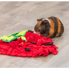 Load image into Gallery viewer, Strawberry Snuffle Mat