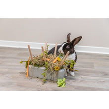 Load image into Gallery viewer, Food Manger Feeding Trough