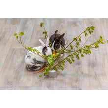 Load image into Gallery viewer, Food Manger Feeding Trough