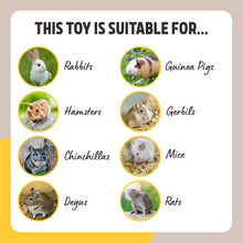 Load image into Gallery viewer, Discovery Daisy Treat Puzzle Toy