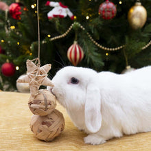 Load image into Gallery viewer, Water Hyacinth Trio Toy