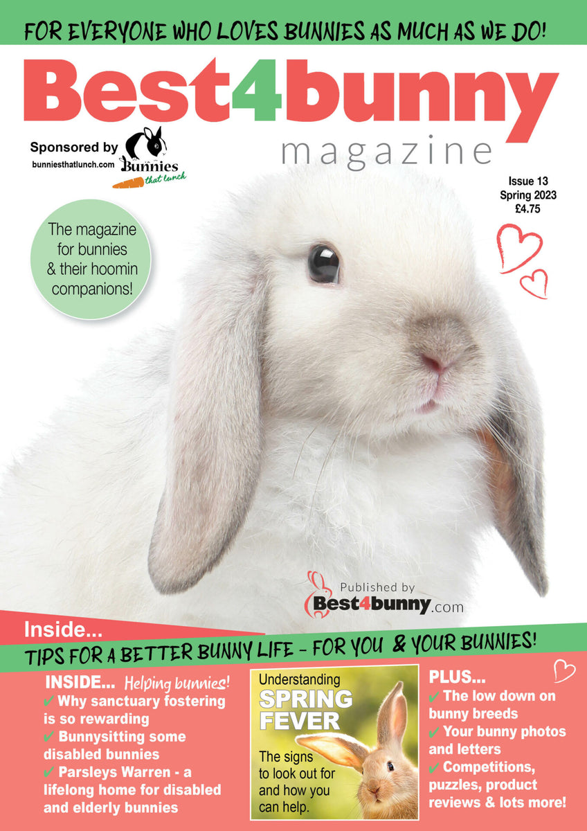 http://bunniesthatlunch.com/cdn/shop/files/P1-Best4bunny-Spring-23-cover_1200x1200.jpg?v=1683289487