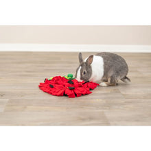 Load image into Gallery viewer, Strawberry Snuffle Mat