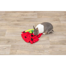 Load image into Gallery viewer, Strawberry Snuffle Mat