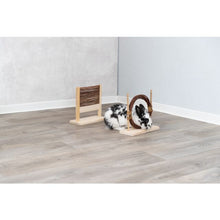 Load image into Gallery viewer, Agility Set