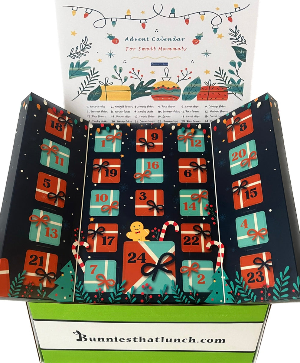 SECONDS Natural Advent Calendar Bunnies That Lunch seconds-natural-advent-calendar-bunnies-that-lunch