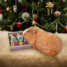 Load image into Gallery viewer, Festive Cookies Forage Gift Tray