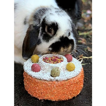 Load image into Gallery viewer, Bunny Birthday Cake with rabbit behind