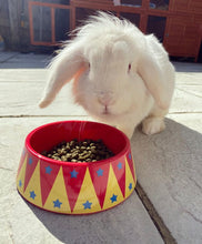 Load image into Gallery viewer, Hay Pigs Circus Bowl!