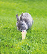 Load image into Gallery viewer, Bunny 'Ice Cream' Cone
