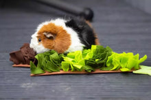 Load image into Gallery viewer, Christmas Tree Snuffle Mat