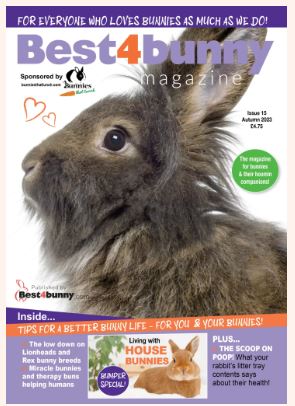 Best4Bunny Magazine -Autumn 2023 (Issue 15)