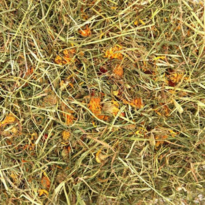 Timothy Rich 5 A Day Hay