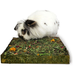 Nibble and Dig Meadow