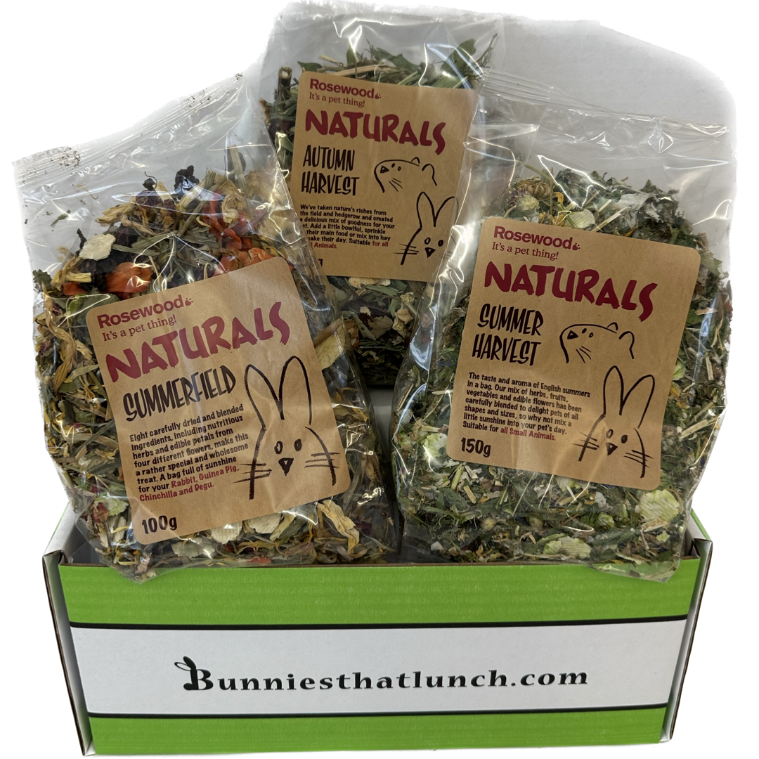 Forage Favourites Bundle – Bunnies That Lunch