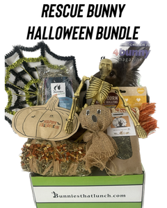 Halloween Bundle for a Rescue Bunny