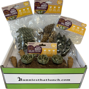 Veggie Burst Bundle