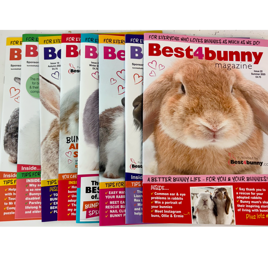 Best4Bunny Magazine Bundle