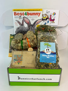 Bunny Vacation Box