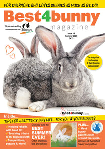 Best4Bunny Magazine -Summer 2023  (Issue 14)