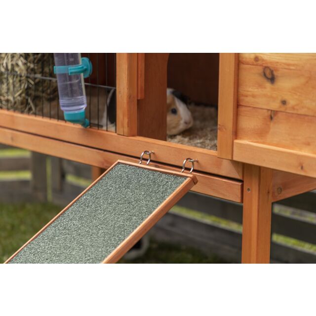 Wooden Ramp – Bunnies That Lunch