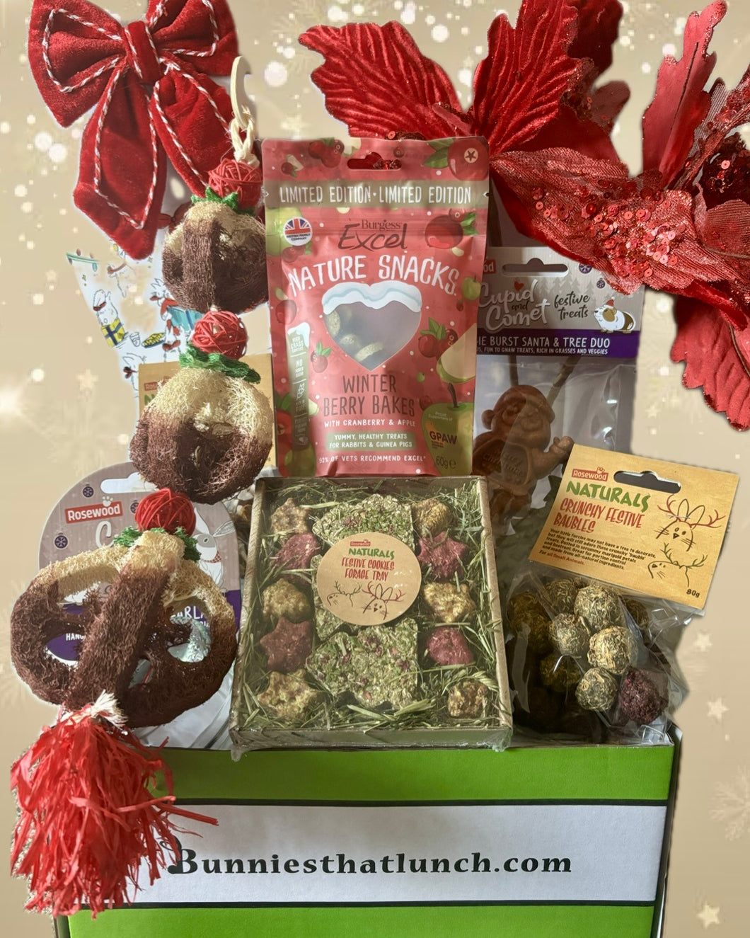 SILVER Bunny Christmas Special Box