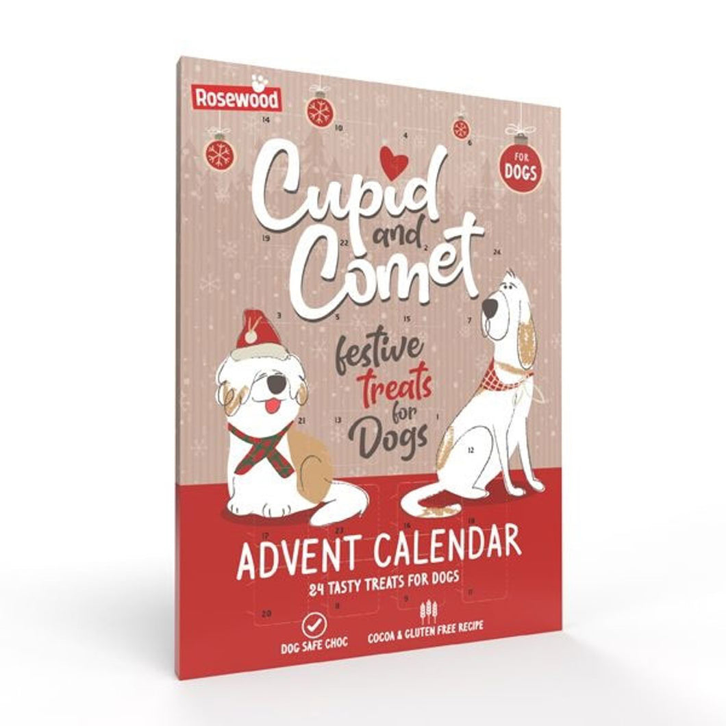 DOG - Advent Calendar