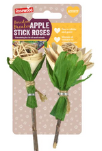 Load image into Gallery viewer, Apple Stick Roses
