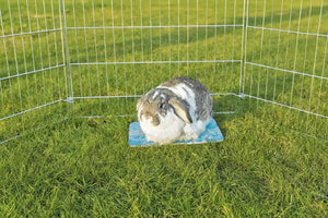 Trixie Cooling Plate