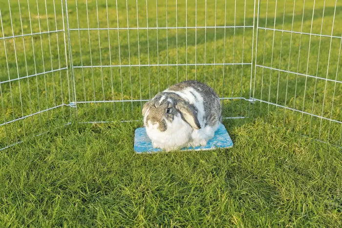 Trixie Cooling Plate