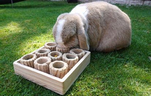 SECONDS - Hide N Treat Forage Tray
