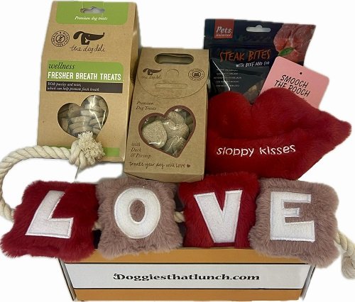 Doggy Valentines Box