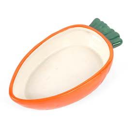 A pet bowl shaped like a carrot.