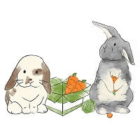 Artwork showing two rabbits beside a box of carrots. One of the rabbits is holding a partially eaten carrot.