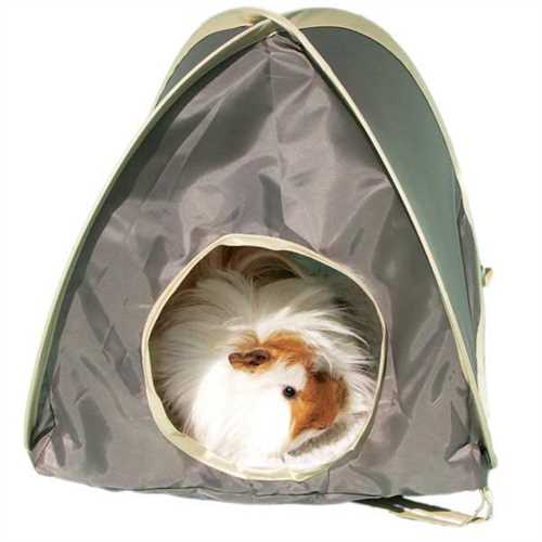 Pop Up Tent Medium