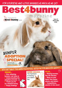 Best4Bunny Magazine -Winter 2022 (Issue 12)