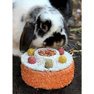 Bunny Birthday Cake with rabbit behind