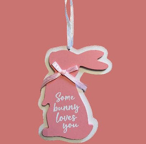 Some Bunny Loves You Plaque - Pink