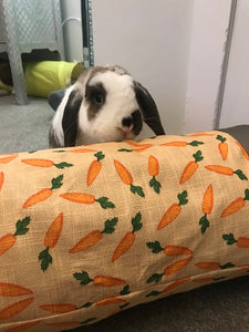 Rabbit behind Fabric Tunnel with carrot design