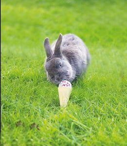 Bunny 'Ice Cream' Cone