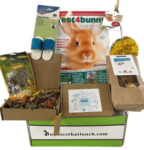 Bunny Vacation Box