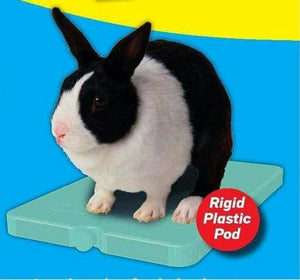 Rabbit sitting on cool pod with text 'Rigid Plastic Pod'
