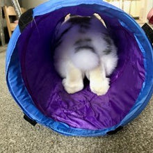 Load image into Gallery viewer, A blue tunnel showing a rabbit inside from behind.
