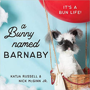 Front cover of book featuring an angora rabbit with the title 'A Bunny Named Barnaby'.