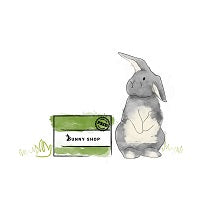 Illustration of a rabbit sitting next to a box saying 'Bunny Shop'.