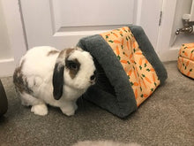 Load image into Gallery viewer, Rabbit next to Carrot Snuggle and Sleep Tunnel
