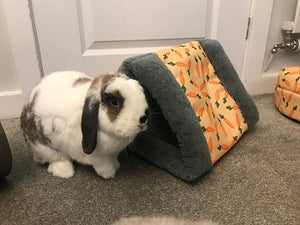Rabbit next to Carrot Snuggle and Sleep Tunnel