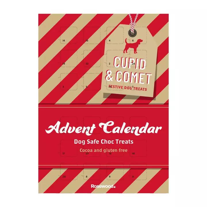 DOG - Advent Calendar